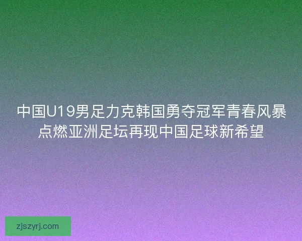 中国U19男足力克韩国勇夺冠军青春风暴点燃亚洲足坛再现中国足球新希望